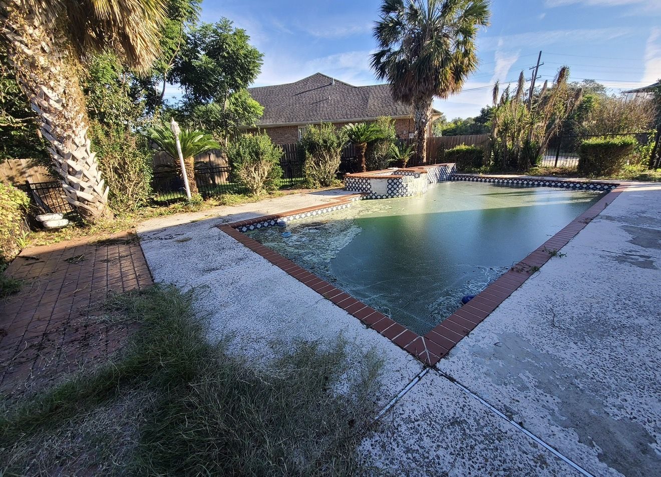 Before: green, algae-filled pool with brick coping, a peeling deck, and an overgrown yard